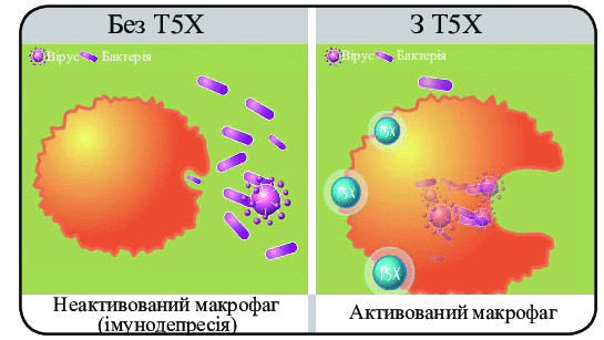Адсорбент микотоксинов T5X SD